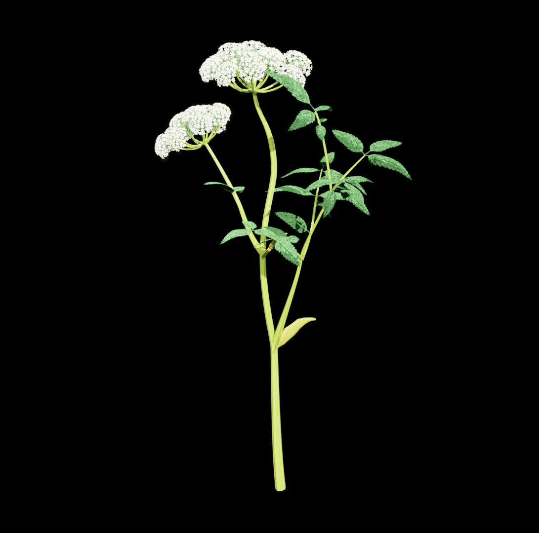 Interface 3D et branding pour le projet Flonix.